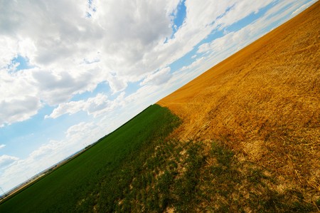 04_V krajině 6